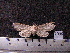  ( - MMZ1151)  @12 [ ] CreativeCommons - Attribution Non-Commercial (2012) Mauricio M. Zenker UFPR