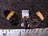  ( - MMZ0711)  @13 [ ] CreativeCommons - Attribution Non-Commercial (2011) Mauricio M. Zenker Universidade Federal do Parana