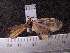  ( - MMZ0713)  @12 [ ] CreativeCommons - Attribution Non-Commercial (2011) Mauricio M. Zenker Universidade Federal do Parana