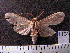  ( - MMZ1154)  @12 [ ] CreativeCommons - Attribution Non-Commercial (2012) Mauricio M. Zenker UFPR