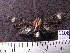  ( - MMZ0911)  @12 [ ] CreativeCommons - Attribution Non-Commercial (2011) Mauricio M. Zenker UFPR