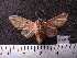  ( - MMZ0730)  @12 [ ] CreativeCommons - Attribution Non-Commercial (2011) Mauricio M. Zenker Universidade Federal do Parana