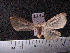  ( - MMZ0918)  @12 [ ] CreativeCommons - Attribution Non-Commercial (2011) Mauricio M. Zenker UFPR
