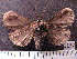  ( - MMZ1157)  @13 [ ] CreativeCommons - Attribution Non-Commercial (2012) Mauricio M. Zenker UFPR