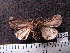  ( - MMZ1159)  @12 [ ] CreativeCommons - Attribution Non-Commercial (2012) Mauricio M. Zenker UFPR