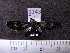  ( - MMZ1161)  @13 [ ] CreativeCommons - Attribution Non-Commercial (2012) Mauricio M. Zenker UFPR