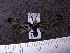  ( - MMZ0742)  @12 [ ] CreativeCommons - Attribution Non-Commercial (2011) Mauricio M. Zenker Universidade Federal do Parana