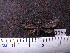  ( - MMZ0742)  @12 [ ] CreativeCommons - Attribution Non-Commercial (2011) Mauricio M. Zenker Universidade Federal do Parana