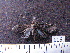 ( - MMZ1021)  @12 [ ] CreativeCommons - Attribution Non-Commercial (2011) Mauricio M. Zenker UFPR