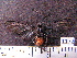  ( - MMZ1167)  @12 [ ] CreativeCommons - Attribution Non-Commercial (2012) Mauricio M. Zenker UFPR