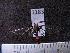  ( - MMZ0761)  @12 [ ] CreativeCommons - Attribution Non-Commercial (2011) Mauricio M. Zenker Universidade Federal do Parana