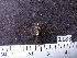  ( - MMZ0761)  @12 [ ] CreativeCommons - Attribution Non-Commercial (2011) Mauricio M. Zenker Universidade Federal do Parana