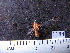  ( - MMZ0762)  @12 [ ] CreativeCommons - Attribution Non-Commercial (2011) Mauricio M. Zenker Universidade Federal do Parana