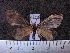  ( - MMZ0783)  @13 [ ] CreativeCommons - Attribution Non-Commercial (2011) Mauricio M. Zenker Universidade Federal do Parana