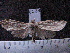  ( - MMZ1169)  @12 [ ] CreativeCommons - Attribution Non-Commercial (2012) Mauricio M. Zenker UFPR