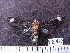  ( - MMZ0814)  @12 [ ] CreativeCommons - Attribution Non-Commercial (2011) Mauricio M. Zenker Universidade Federal do Parana