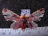  ( - MMZ0815)  @12 [ ] CreativeCommons - Attribution Non-Commercial (2011) Mauricio M. Zenker Universidade Federal do Parana