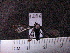  ( - MMZ0824)  @12 [ ] CreativeCommons - Attribution Non-Commercial (2011) Mauricio M. Zenker Universidade Federal do Parana