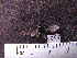  ( - MMZ0824)  @12 [ ] CreativeCommons - Attribution Non-Commercial (2011) Mauricio M. Zenker Universidade Federal do Parana