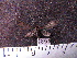  ( - MMZ0826)  @12 [ ] CreativeCommons - Attribution Non-Commercial (2011) Mauricio M. Zenker Universidade Federal do Parana