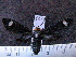  ( - MMZ0839)  @13 [ ] CreativeCommons - Attribution Non-Commercial (2011) Mauricio M. Zenker Universidade Federal do Parana