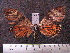  ( - MMZ1097)  @13 [ ] CreativeCommons - Attribution Non-Commercial (2012) Mauricio M. Zenker UFPR