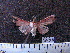  ( - MMZ1026)  @12 [ ] CreativeCommons - Attribution Non-Commercial (2011) Mauricio M. Zenker UFPR