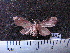  ( - MMZ1027)  @12 [ ] CreativeCommons - Attribution Non-Commercial (2011) Mauricio M. Zenker UFPR