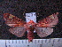  ( - MMZ0852)  @14 [ ] CreativeCommons - Attribution Non-Commercial (2011) Mauricio M. Zenker Universidade Federal do Parana
