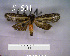  ( - MMZ0868)  @12 [ ] CreativeCommons - Attribution Non-Commercial (2011) Mauricio M. Zenker UFPR