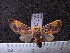 ( - MMZ1042)  @13 [ ] CreativeCommons - Attribution Non-Commercial (2011) Mauricio M. Zenker UFPR