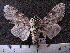  ( - MMZ1043)  @12 [ ] CreativeCommons - Attribution Non-Commercial (2011) Mauricio M. Zenker UFPR