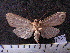  ( - MMZ1254)  @12 [ ] CreativeCommons - Attribution Non-Commercial (2012) Mauricio M. Zenker UFPR