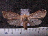  ( - MMZ1257)  @13 [ ] CreativeCommons - Attribution Non-Commercial (2012) Mauricio M. Zenker UFPR
