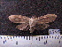  ( - MMZ1086)  @12 [ ] CreativeCommons - Attribution Non-Commercial (2012) Mauricio M. Zenker UFPR