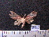 ( - MMZ1183)  @12 [ ] CreativeCommons - Attribution Non-Commercial (2012) Mauricio M. Zenker UFPR