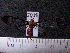  ( - MMZ1061)  @12 [ ] CreativeCommons - Attribution Non-Commercial (2012) Mauricio M. Zenker UFPR