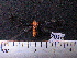  ( - MMZ1061)  @12 [ ] CreativeCommons - Attribution Non-Commercial (2012) Mauricio M. Zenker UFPR