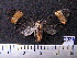  ( - MMZ1048)  @12 [ ] CreativeCommons - Attribution Non-Commercial (2012) Mauricio M. Zenker UFPR