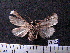  ( - MMZ1076)  @12 [ ] CreativeCommons - Attribution Non-Commercial (2012) Mauricio M. Zenker UFPR