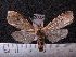 ( - MMZ1096)  @13 [ ] CreativeCommons - Attribution Non-Commercial (2012) Mauricio M. Zenker UFPR