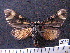  ( - MMZ1098)  @12 [ ] CreativeCommons - Attribution Non-Commercial (2012) Mauricio M. Zenker UFPR