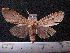  ( - MMZ1260)  @12 [ ] CreativeCommons - Attribution Non-Commercial (2012) Mauricio M. Zenker UFPR
