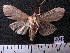  ( - MMZ1260)  @12 [ ] CreativeCommons - Attribution Non-Commercial (2012) Mauricio M. Zenker UFPR