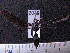  ( - MMZ1046)  @12 [ ] CreativeCommons - Attribution Non-Commercial (2012) Mauricio M. Zenker UFPR