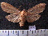  ( - MMZ1085)  @12 [ ] CreativeCommons - Attribution Non-Commercial (2012) Mauricio M. Zenker UFPR