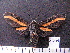  ( - MMZ1204)  @12 [ ] CreativeCommons - Attribution Non-Commercial (2012) Mauricio M. Zenker UFPR
