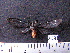  ( - MMZ1066)  @12 [ ] CreativeCommons - Attribution Non-Commercial (2012) Mauricio M. Zenker UFPR