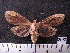  ( - MMZ1102)  @12 [ ] CreativeCommons - Attribution Non-Commercial (2012) Mauricio M. Zenker UFPR