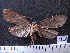  ( - MMZ1275)  @12 [ ] CreativeCommons - Attribution Non-Commercial (2012) Mauricio M. Zenker UFPR